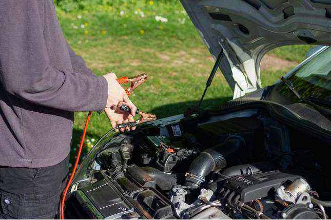 Brake pads and caliper